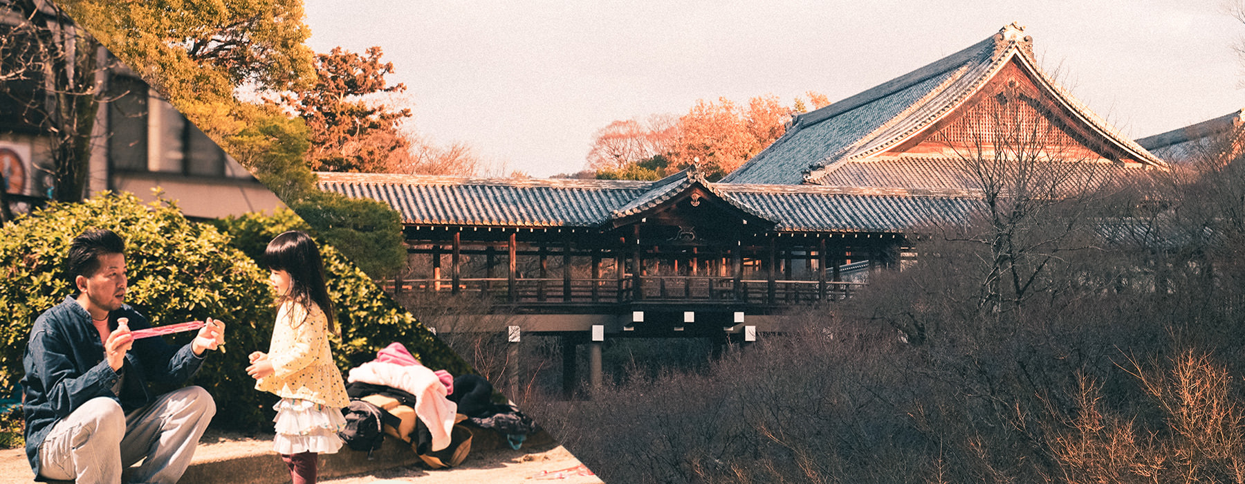 #ご近所さんが東福寺