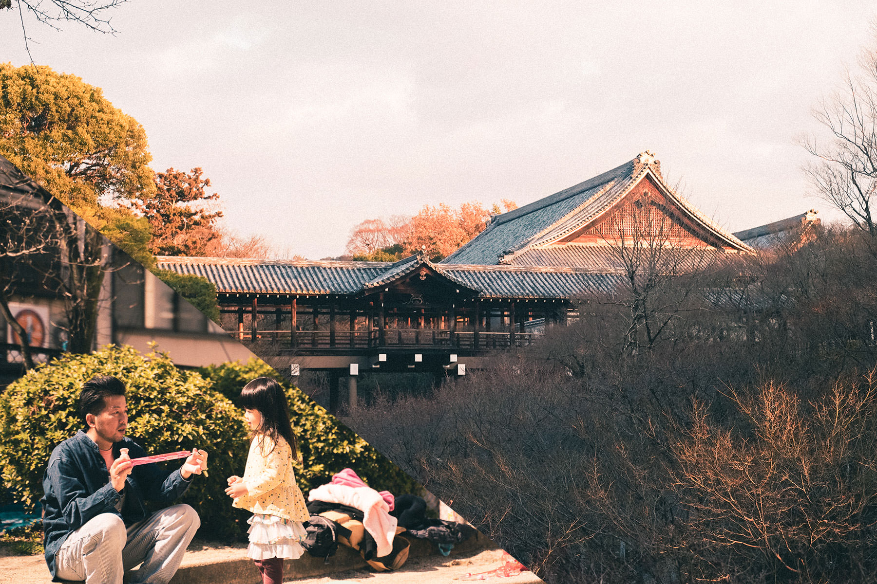 #ご近所さんが東福寺