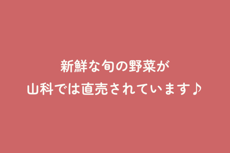 新鮮な旬の野菜が山科では直売されています♪