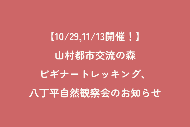 【10/29,11/13開催！】山村都市交流の森 ビギナートレッキング、八丁平自然観察会のお知らせ