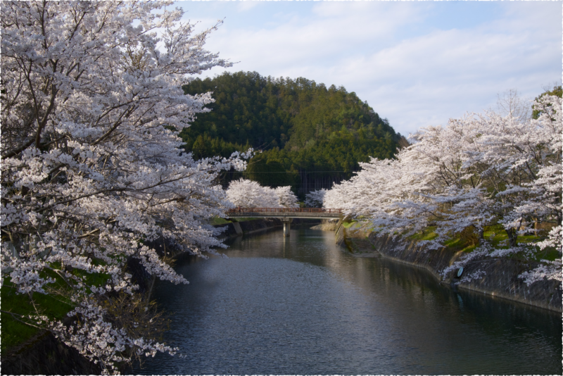 右京区京北地域