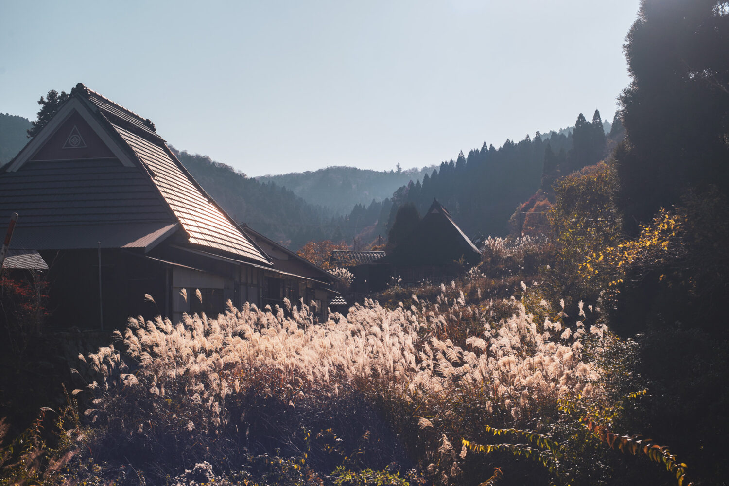 左京区北部山間地域