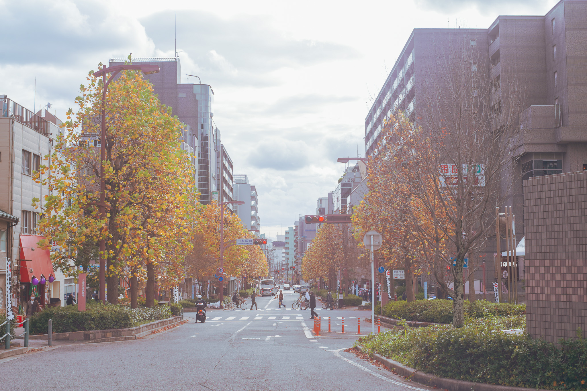 山科区 住むなら京都