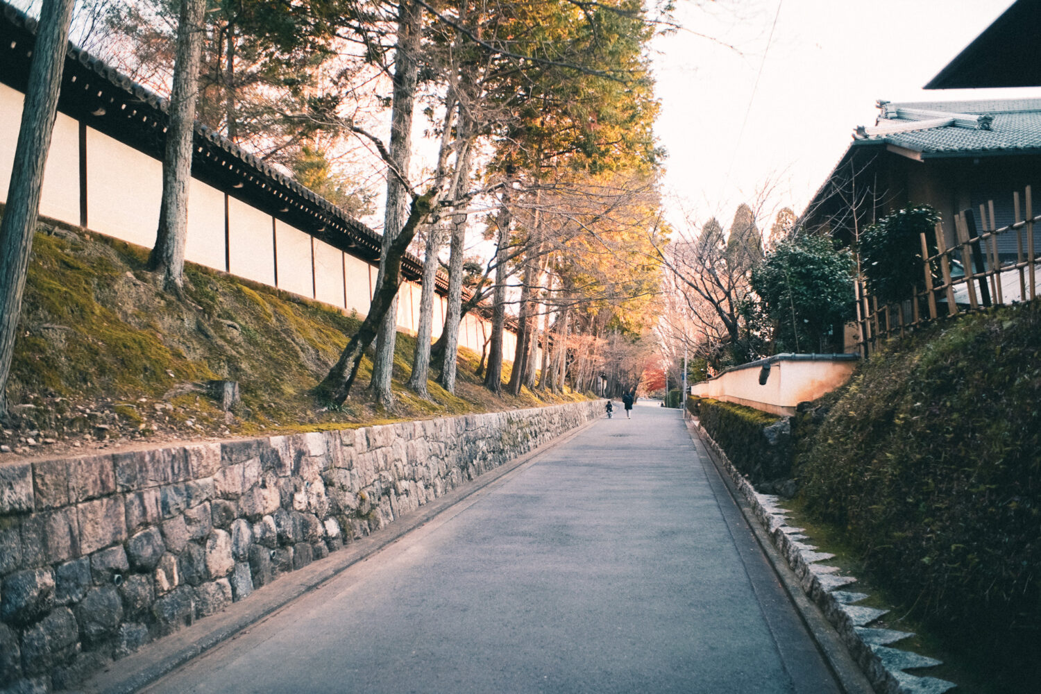 東福寺エリア