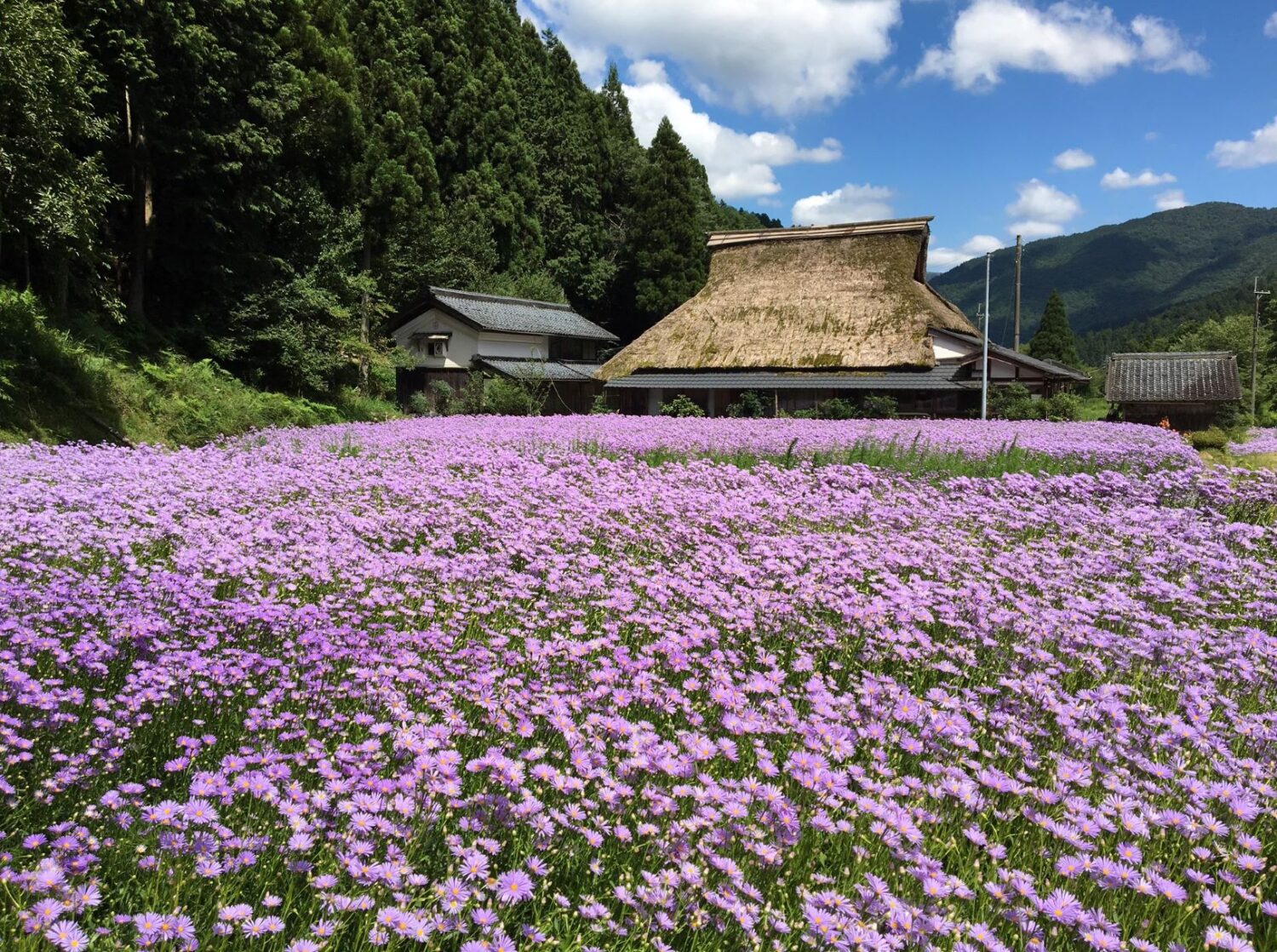 左京区北部山間地域