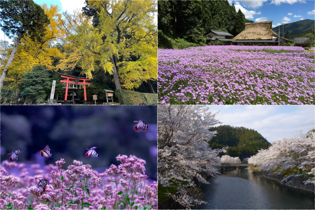 北部山間エリア