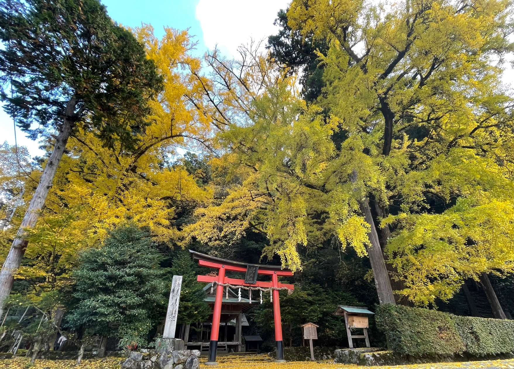 北部山間エリア 住むなら京都