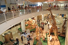 【募集】京都市青少年科学センター・センター学習担当常勤講師を募集します！