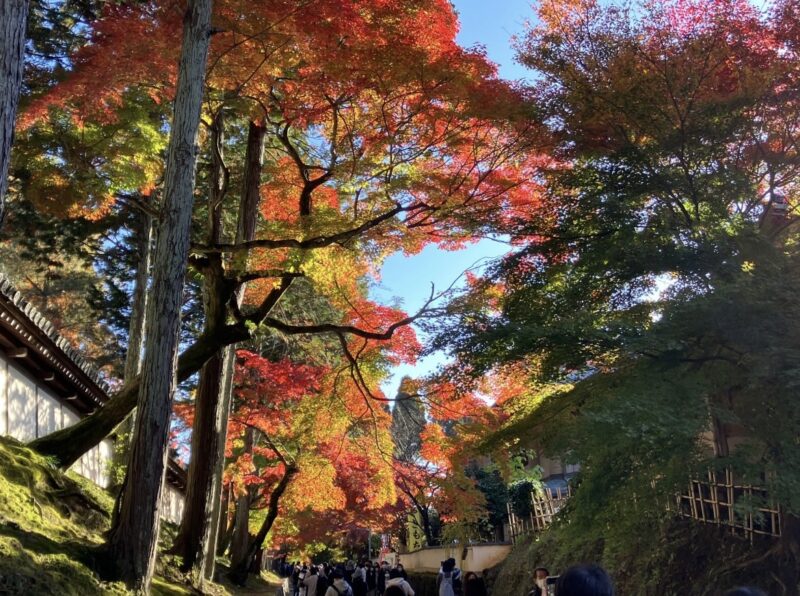 【東山区】11/18まち歩きイベントby東山くらしよし（京都市移住・定住応援団）