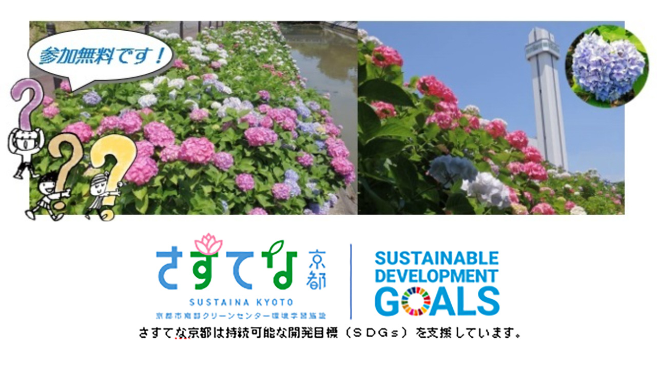 「さすてな京都☆アジサイフェア2024」のお知らせ