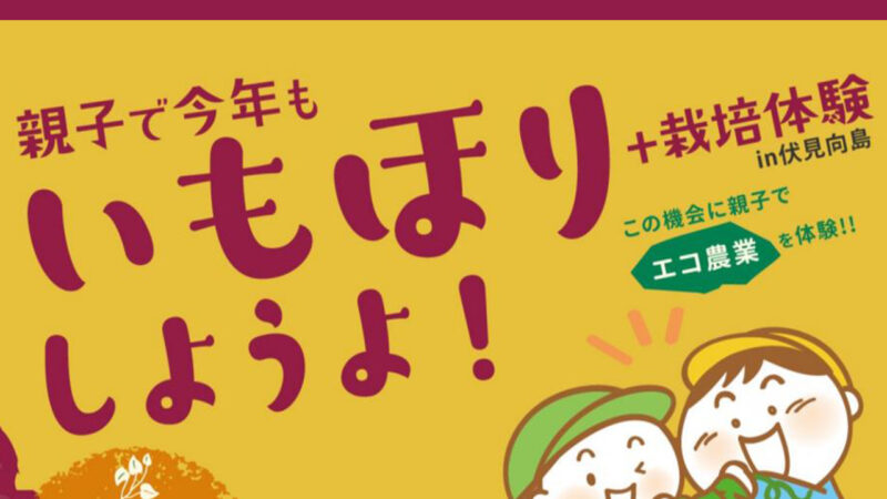 親子で今年も“いもほり”しようよ！in伏見向島