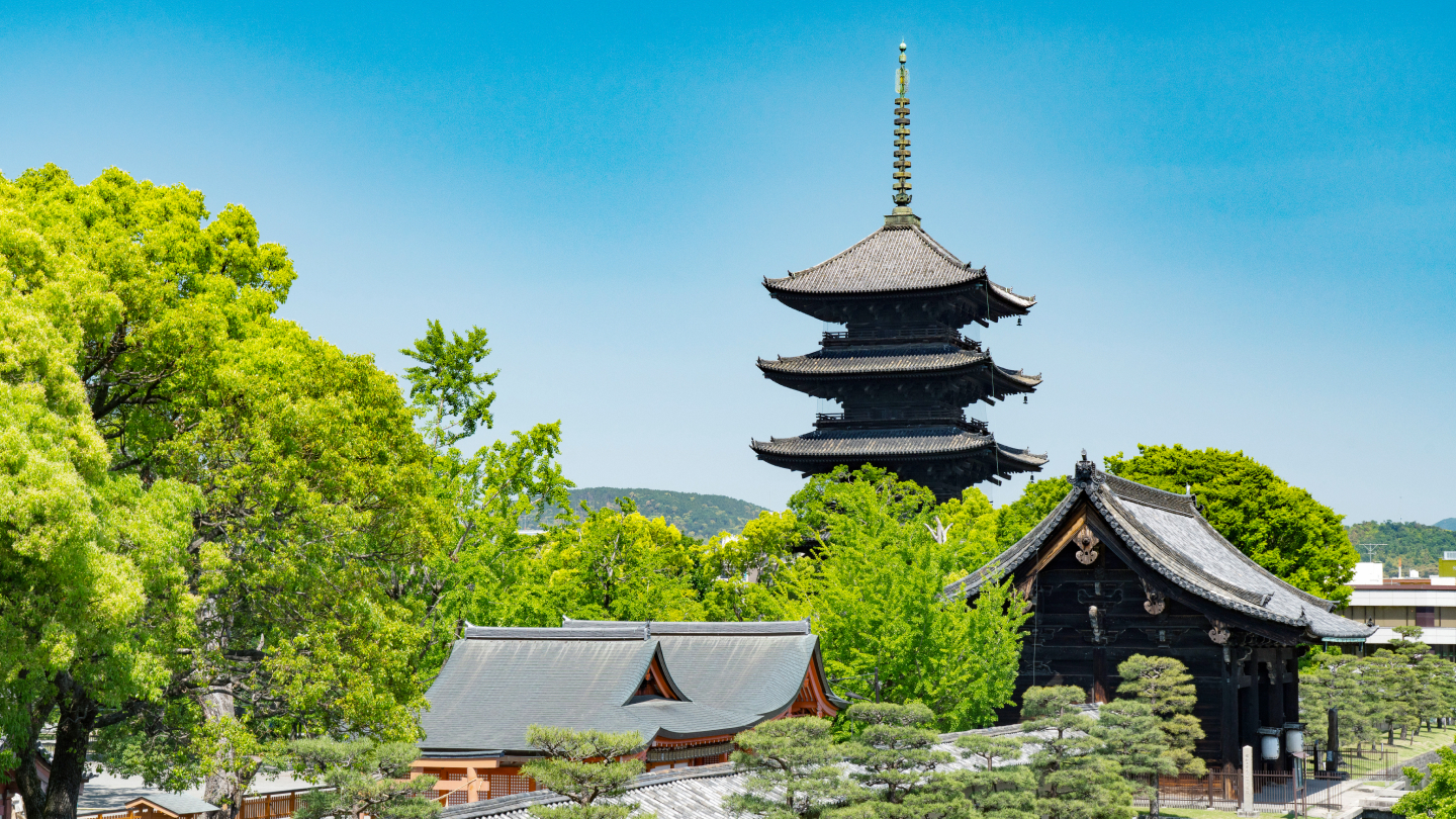 東寺・十条エリア