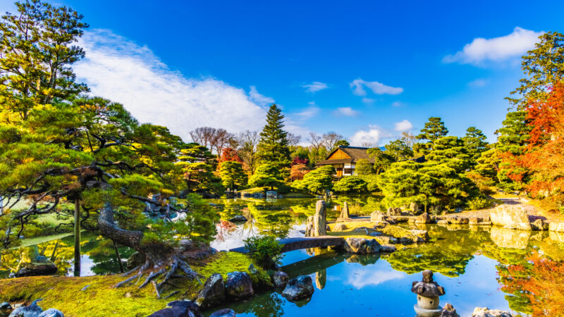 桂エリア