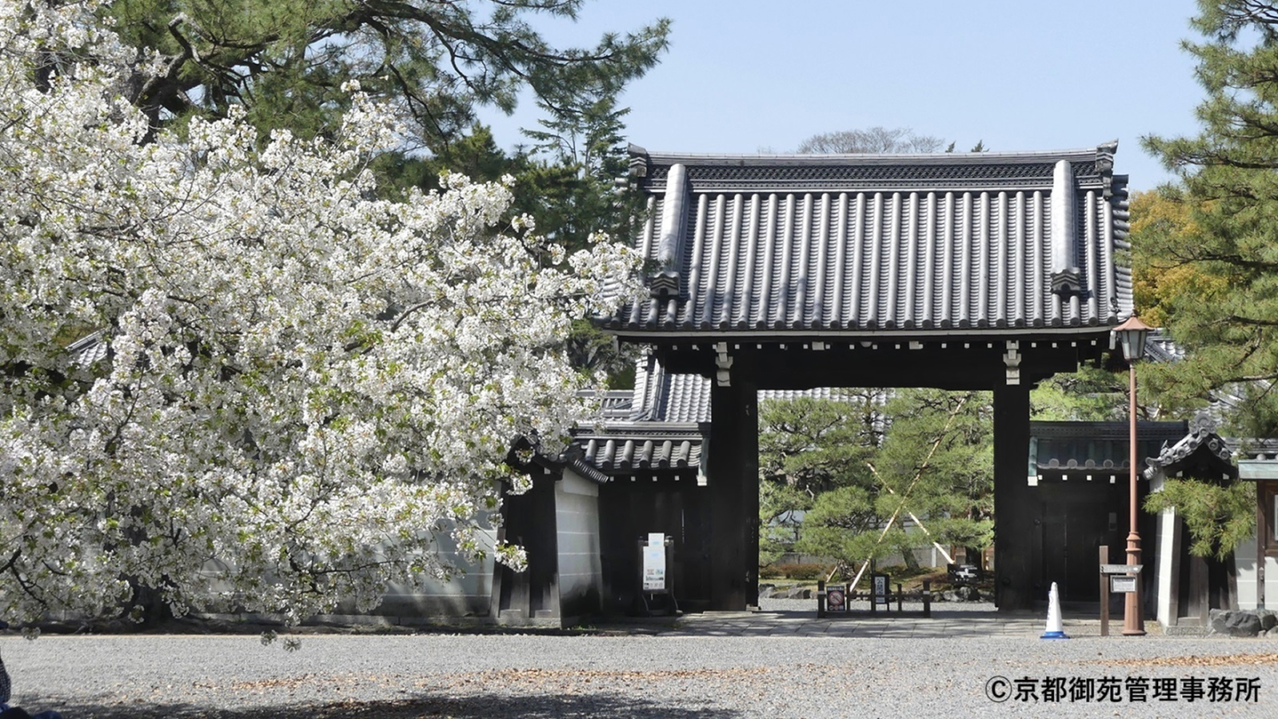 京都御所エリア
