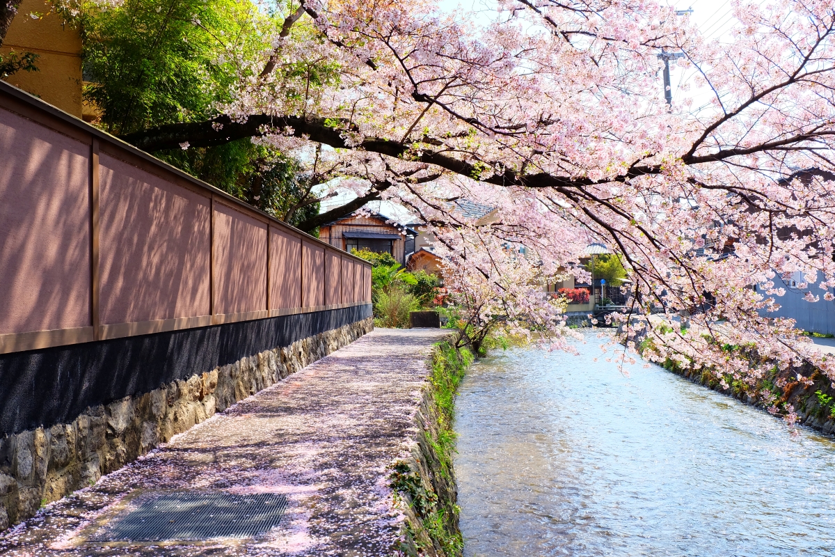 実は、京都は「い・け・ず」で住み○○い ～旅の京都から、暮らしの 