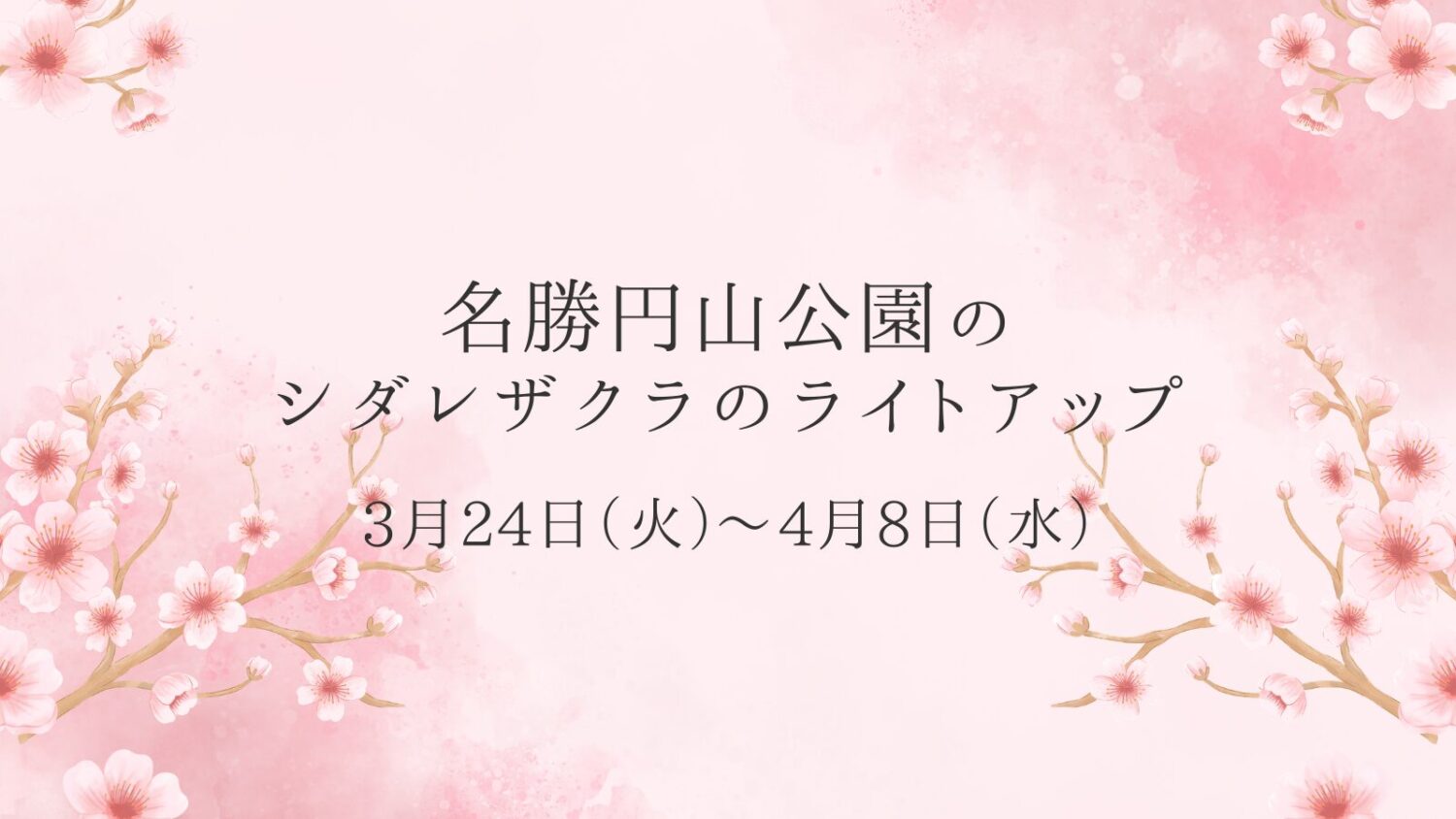 名勝円山公園のシダレザクラのライトアップ